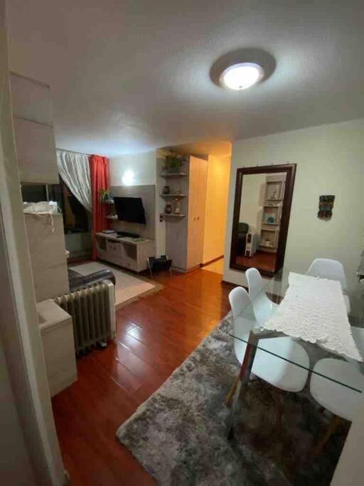 Comodo Departamento En El Centro De Stgo Apartment Santiago de Chile Bagian luar foto